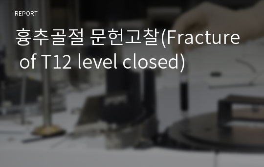 흉추골절 문헌고찰(Fracture of T12 level closed)