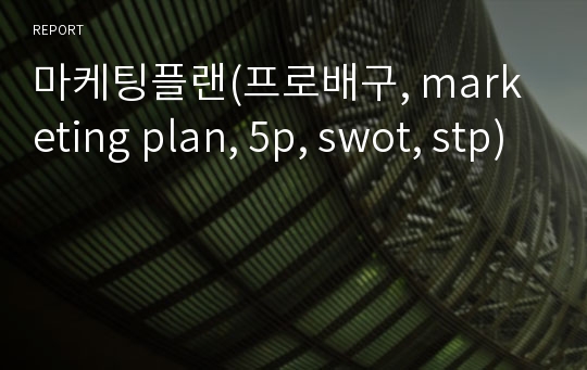 마케팅플랜(프로배구, marketing plan, 5p, swot, stp)