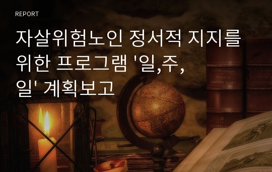 자살위험노인 정서적 지지를 위한 프로그램 &#039;일,주,일&#039; 계획보고