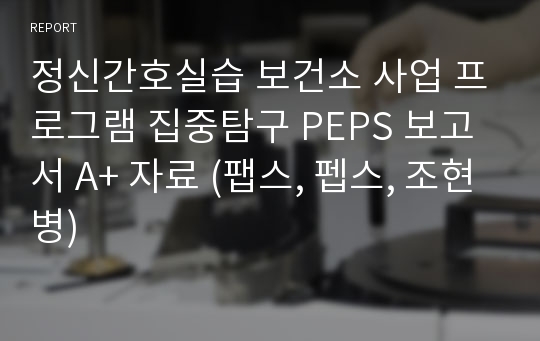 정신간호실습 보건소 사업 프로그램 집중탐구 PEPS 보고서 A+ 자료 (팹스, 펩스, 조현병)