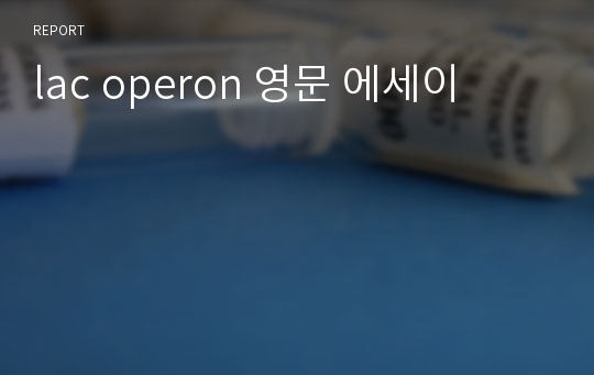 lac operon 영문 에세이