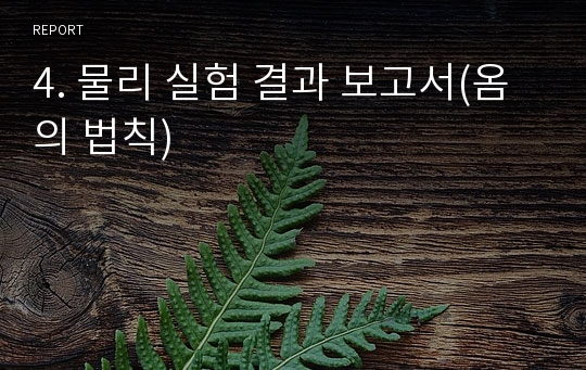 4. 물리 실험 결과 보고서(옴의 법칙)