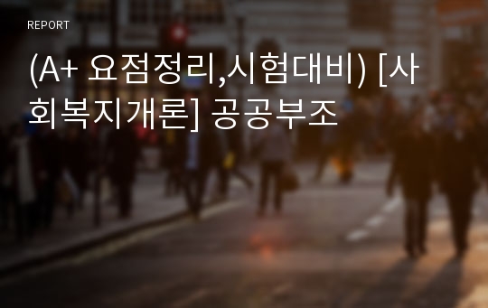 (A+ 요점정리,시험대비) [사회복지개론] 공공부조