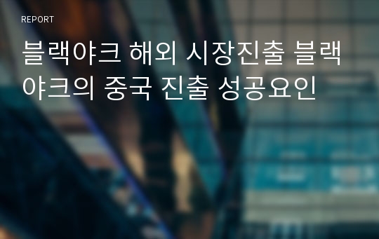 블랙야크 해외 시장진출 블랙야크의 중국 진출 성공요인