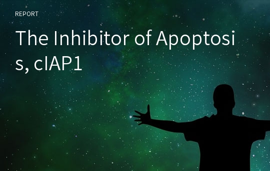 The Inhibitor of Apoptosis, cIAP1