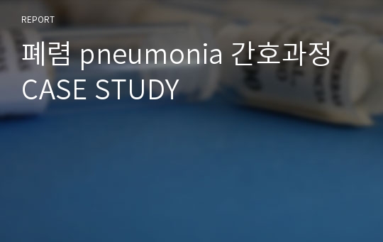 폐렴 pneumonia 간호과정 CASE STUDY