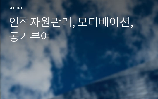 인적자원관리, 모티베이션, 동기부여