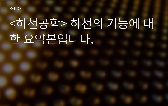 &lt;하천공학&gt; 하천의 기능에 대한 요약본입니다.