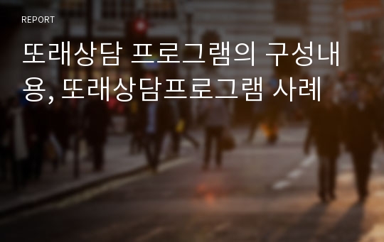 또래상담 프로그램의 구성내용, 또래상담프로그램 사례