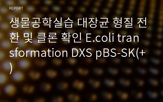 생물공학실습 대장균 형질 전환 및 클론 확인 E.coli transformation DXS pBS-SK(+)