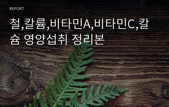 철,칼륨,비타민A,비타민C,칼슘 영양섭취 정리본