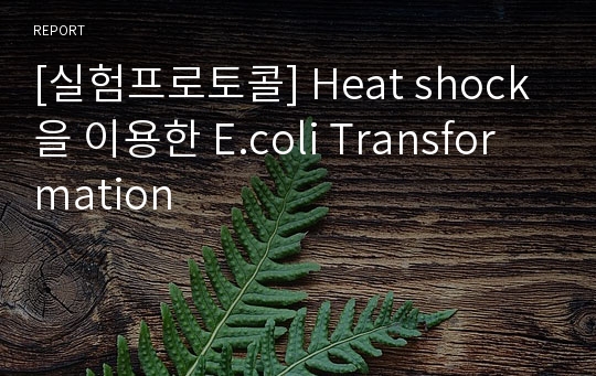 [실험프로토콜] Heat shock을 이용한 E.coli Transformation