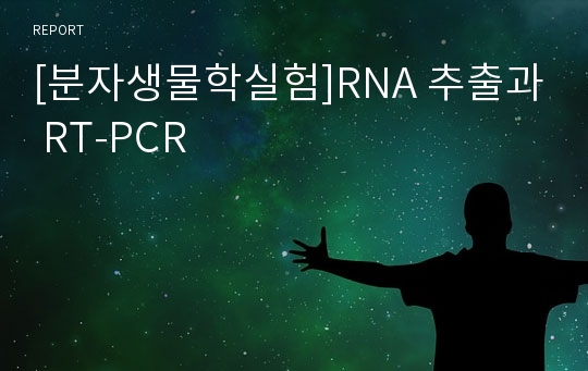 [분자생물학실험]RNA 추출과 RT-PCR