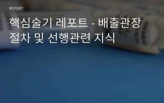 핵심술기 레포트 - 배출관장 절차 및 선행관련 지식