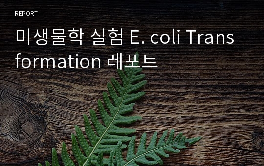 미생물학 실험 E. coli Transformation 레포트