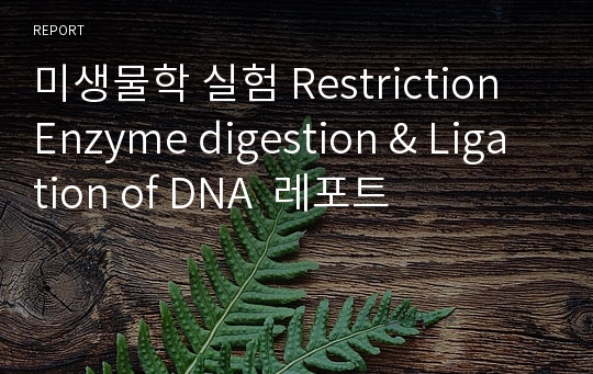 미생물학 실험 Restriction Enzyme digestion &amp; Ligation of DNA  레포트