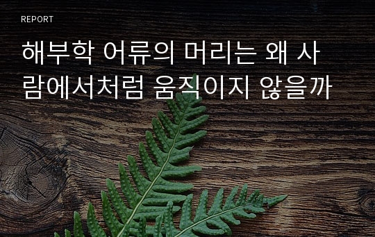 해부학 어류의 머리는 왜 사람에서처럼 움직이지 않을까