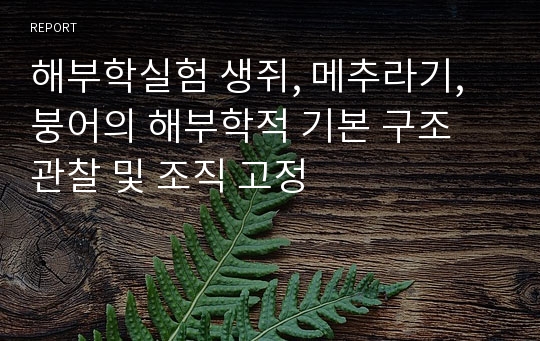 해부학실험 생쥐, 메추라기, 붕어의 해부학적 기본 구조 관찰 및 조직 고정