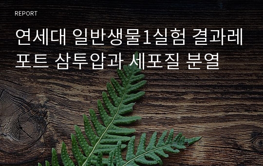 연세대 일반생물1실험 결과레포트 삼투압과 세포질 분열