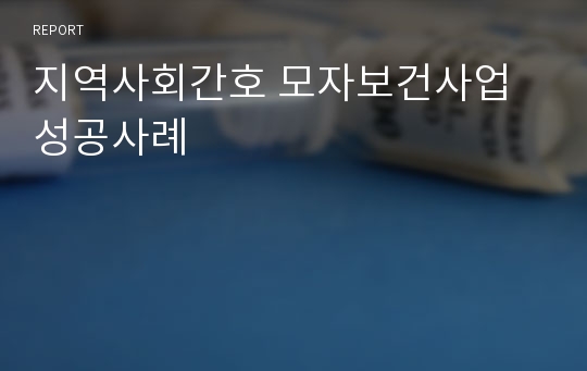 지역사회간호 모자보건사업 성공사례