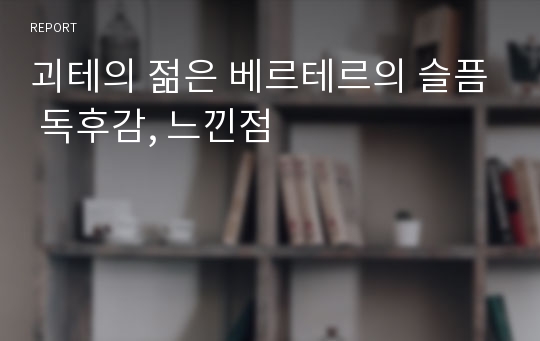 괴테의 젊은 베르테르의 슬픔 독후감, 느낀점