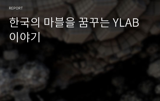 한국의 마블을 꿈꾸는 YLAB이야기