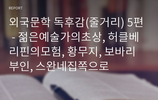 외국문학 독후감(줄거리) 5편 - 젊은예술가의초상, 허클베리핀의모험, 황무지, 보바리부인, 스완네집쪽으로