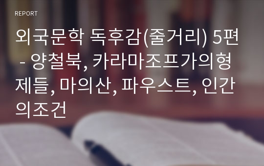 외국문학 독후감(줄거리) 5편 - 양철북, 카라마조프가의형제들, 마의산, 파우스트, 인간의조건