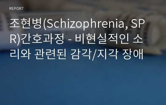 조현병(Schizophrenia, SPR)간호과정 - 비현실적인 소리와 관련된 감각/지각 장애