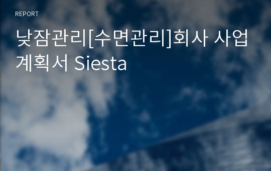 낮잠관리[수면관리]회사 사업계획서 Siesta