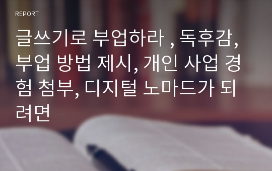 글쓰기로 부업하라 , 독후감, 부업 방법 제시, 개인 사업 경험 첨부, 디지털 노마드가 되려면