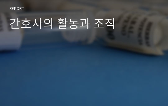 간호사의 활동과 조직