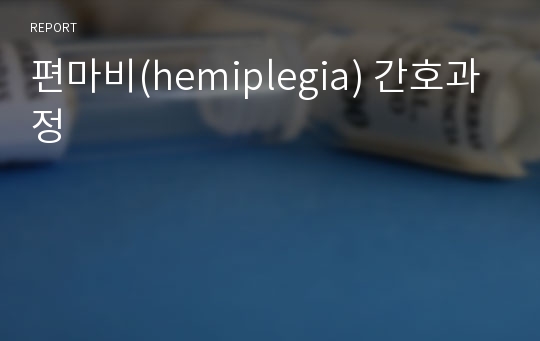 편마비(hemiplegia) 간호과정