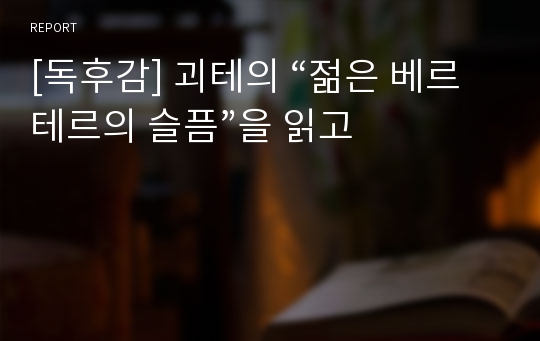 [독후감] 괴테의 “젊은 베르테르의 슬픔”을 읽고