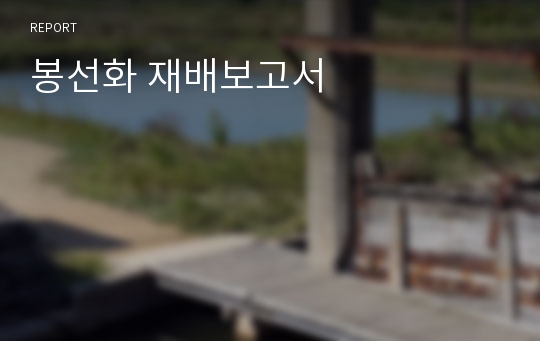 봉선화 재배보고서