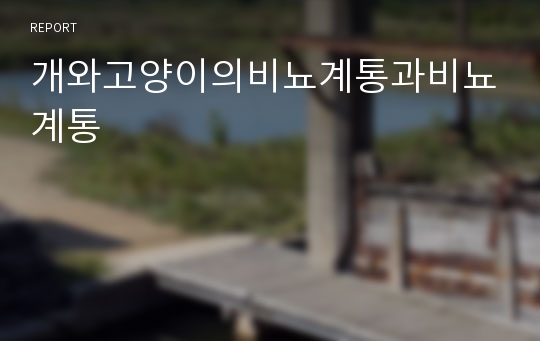 개와고양이의비뇨계통과비뇨계통