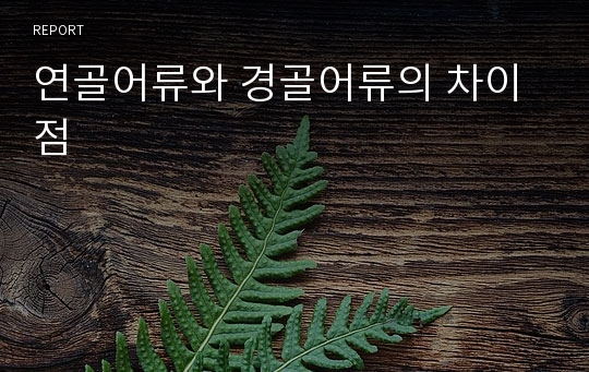 연골어류와 경골어류의 차이점