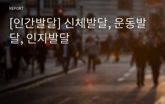 [인간발달] 신체발달, 운동발달, 인지발달