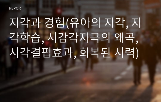 지각과 경험(유아의 지각, 지각학습, 시감각자극의 왜곡, 시각결핍효과, 회복된 시력)