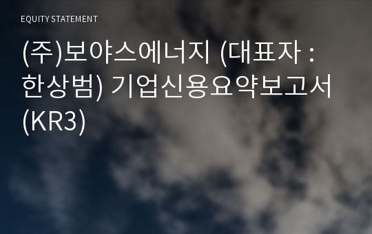 (주)보야스에너지 기업신용요약보고서 (KR3)