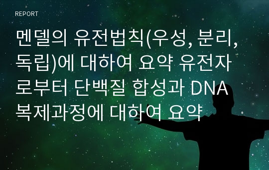 멘델의 유전법칙(우성, 분리, 독립)에 대하여 요약 유전자로부터 단백질 합성과 DNA 복제과정에 대하여 요약