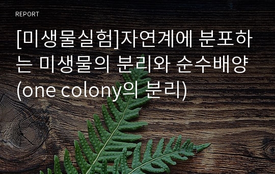 [미생물실험]자연계에 분포하는 미생물의 분리와 순수배양(one colony의 분리)