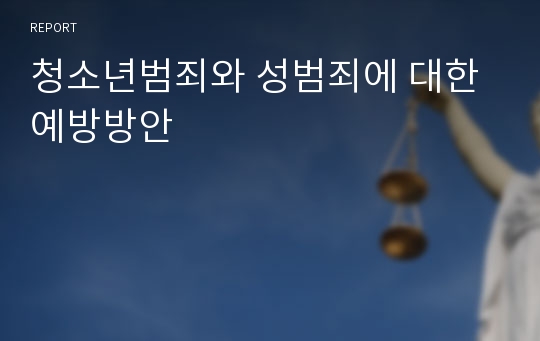 청소년범죄와 성범죄에 대한 예방방안