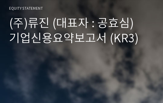 (주)류진 기업신용요약보고서 (KR3)