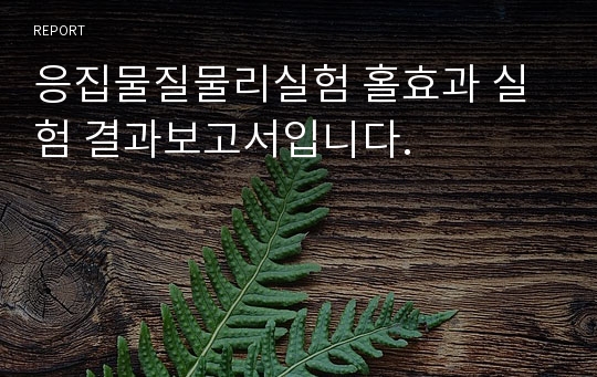 [mahobife]응집물질물리실험 홀효과 실험 결과보고서입니다.