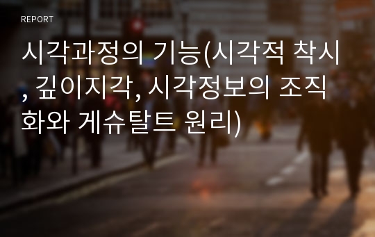 시각과정의 기능(시각적 착시, 깊이지각, 시각정보의 조직화와 게슈탈트 원리)