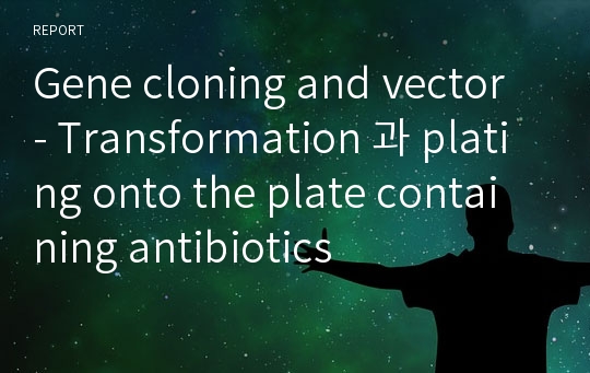 Gene cloning and vector - Transformation 과 plating onto the plate containing antibiotics