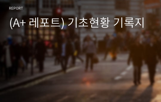 (A+ 레포트) 기초현황 기록지