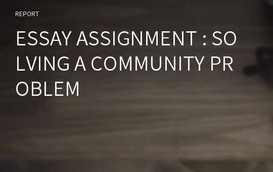 ESSAY ASSIGNMENT : SOLVING A COMMUNITY PROBLEM