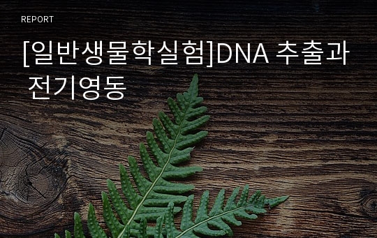 [일반생물학실험]DNA 추출과 전기영동